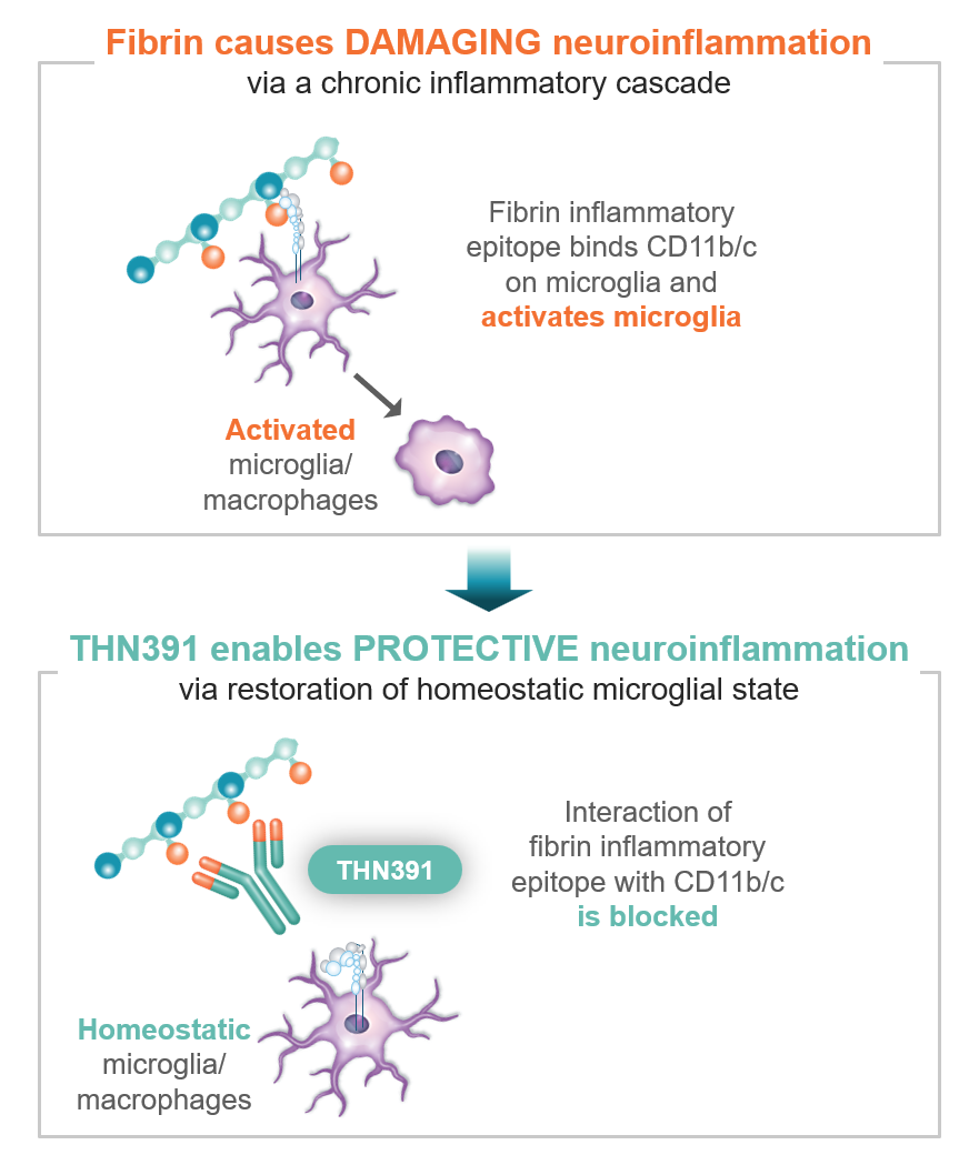 Fibrin